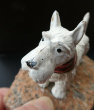 Load image into Gallery viewer, 1930s Cold Painted Spelter Scottish Terrier Scottie Dog
