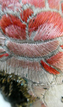 Load image into Gallery viewer,  1930s Art Deco Evening Bag or Purse with Chinese Embroidery. Fancy Clasp with Seed Pearls
