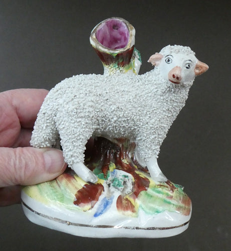 ANTIQUE Victorian 1880s Staffordshire Spill Vase. In the form of a Sheep 