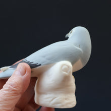 Load image into Gallery viewer, SCOTTISH POTTERY. Alasdair Dunn of Arran. Collectable 1970s Vintage Porcelain Models of a Peregrine Falcon and a Hen Harrier
