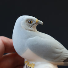 Load image into Gallery viewer, SCOTTISH POTTERY. Alasdair Dunn of Arran. Collectable 1970s Vintage Porcelain Models of a Peregrine Falcon and a Hen Harrier
