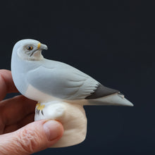 Load image into Gallery viewer, SCOTTISH POTTERY. Alasdair Dunn of Arran. Collectable 1970s Vintage Porcelain Models of a Peregrine Falcon and a Hen Harrier

