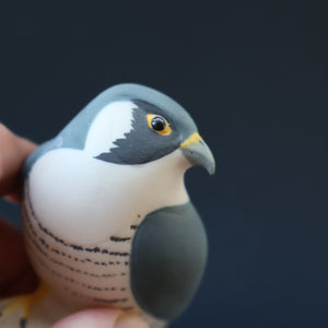 SCOTTISH POTTERY. Alasdair Dunn of Arran. Collectable 1970s Vintage Porcelain Models of a Peregrine Falcon and a Hen Harrier