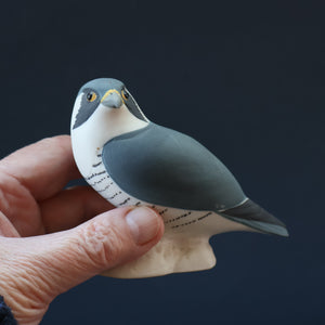 SCOTTISH POTTERY. Alasdair Dunn of Arran. Collectable 1970s Vintage Porcelain Models of a Peregrine Falcon and a Hen Harrier