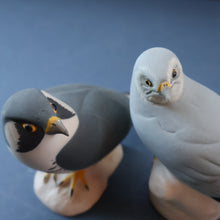 Load image into Gallery viewer, SCOTTISH POTTERY. Alasdair Dunn of Arran. Collectable 1970s Vintage Porcelain Models of a Peregrine Falcon and a Hen Harrier
