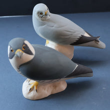 Load image into Gallery viewer, SCOTTISH POTTERY. Alasdair Dunn of Arran. Collectable 1970s Vintage Porcelain Models of a Peregrine Falcon and a Hen Harrier

