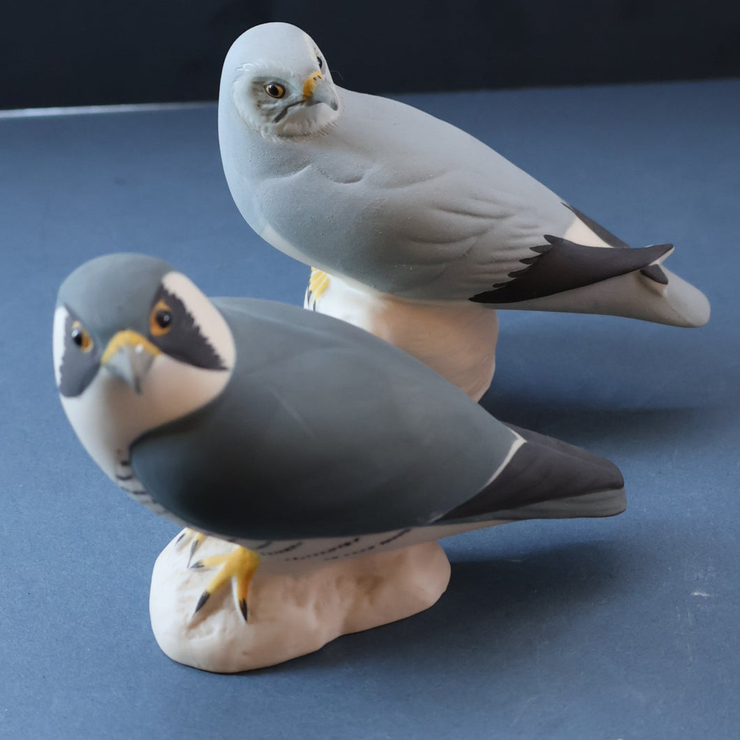 SCOTTISH POTTERY. Alasdair Dunn of Arran. Collectable 1970s Vintage Porcelain Models of a Peregrine Falcon and a Hen Harrier
