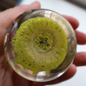 Gorgeous Pastel Colours. Scottish Strathearn Millefiori Canes and Latticino Nine Spoke Paperweight