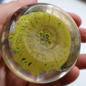 Gorgeous Pastel Colours. Scottish Strathearn Millefiori Canes and Latticino Nine Spoke Paperweight