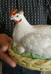Late 19th Century Antique Victorian WHITE Staffordshire Hen on Yellow Nest.