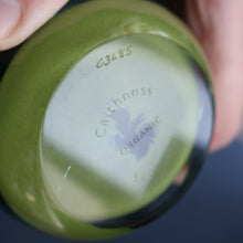 Load image into Gallery viewer, SCOTTISH PAPERWEIGHT: Vintage 1990s Caithness Paperweight: ORGANIC (Green)
