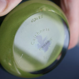 SCOTTISH PAPERWEIGHT: Vintage 1990s Caithness Paperweight: ORGANIC (Green)