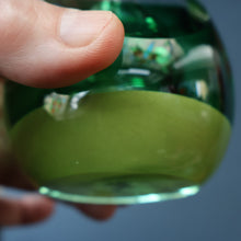 Load image into Gallery viewer, SCOTTISH PAPERWEIGHT: Vintage 1990s Caithness Paperweight: ORGANIC (Green)
