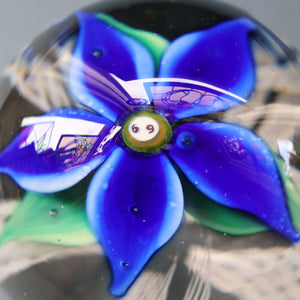 SCOTTISH GLASS. Large Vintage 1960s Strathearn Paperweight with Blue Lampwork Flower and Latticino. MAGNUM SIZE