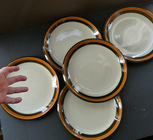   1970s Marianne Westman Rorstrand Swedish Dinner Plates Annika Design