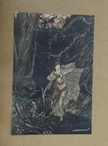 ARTHUR RACKHAM Illustrations. Rare Limited FIRST Edition (1909). SIGNED Copy of Undine