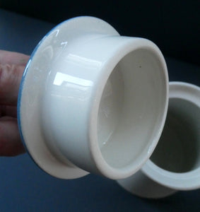 1970s DAISY Turi Design Coffee Pot. Daisy Pattern for Figgjo Flint, Norway