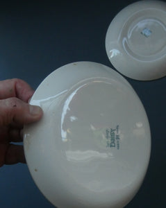 1970s DAISY Turi Design TRIO (Cup, Saucer and Side Plate). Daisy Pattern for Figgjo Flint, Norway