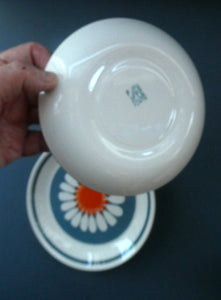 1970s DAISY Turi Design TRIO (Cup, Saucer and Side Plate). Daisy Pattern for Figgjo Flint, Norway