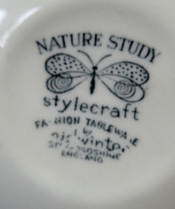 Vintage 1950s TERRANCE CONRAN Nature Study Set of Espresso Cups and Saucers