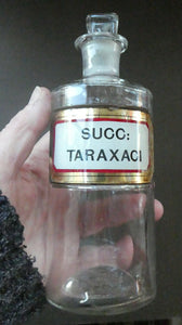 Small Antique Clear Glass Chemist Bottle. SUCC: TARAXACI with Original Foil Label and Lozenge Stopper
