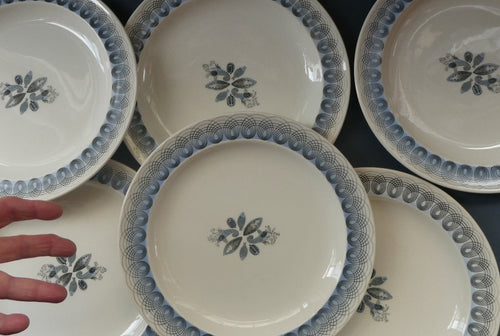 Vintage 1950s Wedgwood SIX SMALL SIDE PLATES. Persephone / Harvest Festival Pattern with Stylised Fish. 7 inches