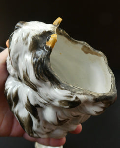 Rare Late 19th Century Continental Ceramic Tobacco Jar. Terrier Head