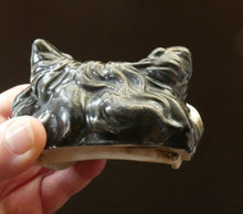 Load image into Gallery viewer, Rare Late 19th Century Continental Ceramic Tobacco Jar. Terrier Head
