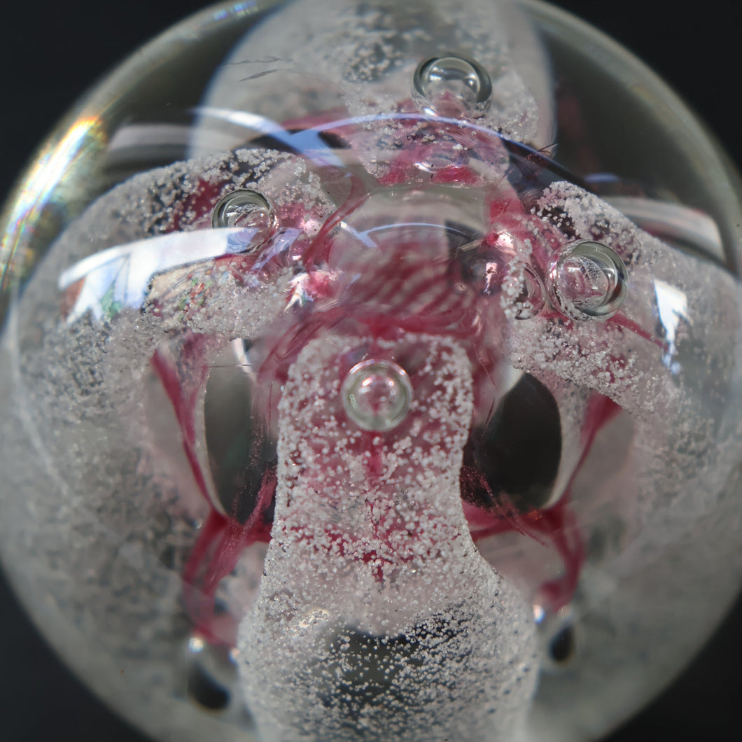 SCOTTISH PAPERWEIGHT. 1993 CAITHNESS GLASS Paperweight entitled CONGRATULATIONS by Margot Thomson