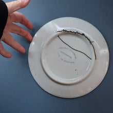 Load image into Gallery viewer, SCOTTISH POTTERY. Hand-Painted Fish Decoration HIGHLAND Stoneware Plate 
