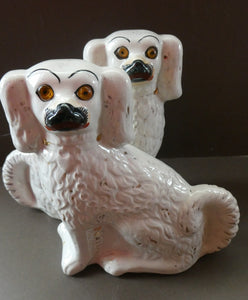 Staffordshire Dogs Chimney Spaniels / Wally Dugs. 8 1/2 inches. ANTIQUE PAIR with amber glass eyes; c1880