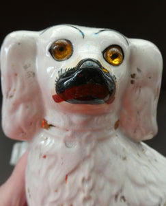 Staffordshire Dogs Chimney Spaniels / Wally Dugs. 8 1/2 inches. ANTIQUE PAIR with amber glass eyes; c1880