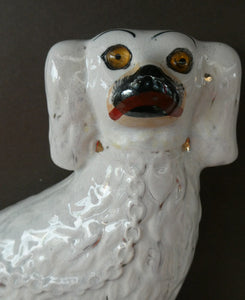 Staffordshire Dogs Chimney Spaniels / Wally Dugs. 8 1/2 inches. ANTIQUE PAIR with amber glass eyes; c1880