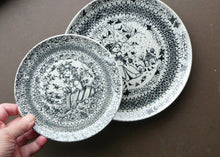 Load image into Gallery viewer, Pair of 1970s Danish Nymolle Bjorn Wiimblad Plates
