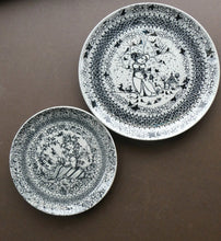 Load image into Gallery viewer, Pair of 1970s Danish Nymolle Bjorn Wiimblad Plates
