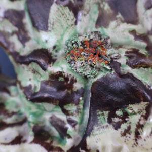 SINGLE LARGE Antique 1870s STAFFORDSHIRE Chimney Ornament of a Fancy Bird Perched on a Mossy Bank