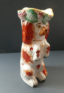 Sweet ANTIQUE STAFFORDSHIRE 19th Century Tall Spaniel Dog Jug or Pitcher
