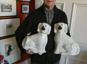 Genuine Antique. LARGE Staffordshire Dogs Chimney Spaniels / Wally Dugs. 12 1/2 inches. in height