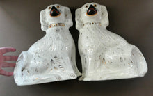 Load image into Gallery viewer, Genuine Antique. LARGE Staffordshire Dogs Chimney Spaniels / Wally Dugs. 12 1/2 inches. in height
