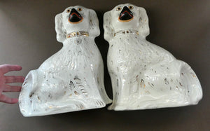 Genuine Antique. LARGE Staffordshire Dogs Chimney Spaniels / Wally Dugs. 12 1/2 inches. in height