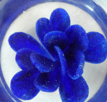 Load image into Gallery viewer,  Perthshire Glass Floral Paperweight (PP133A) with Blue Flower Heads and Facets
