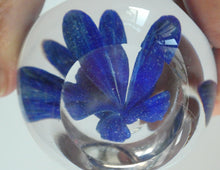 Load image into Gallery viewer,  Perthshire Glass Floral Paperweight (PP133A) with Blue Flower Heads and Facets
