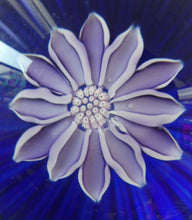 Load image into Gallery viewer, Scottish Paperweight by Peter McDougall Glass Studio. With Studio Cane on the Base with lilac lampwork flower 
