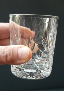 Vintage Edinburgh Crystal Small WHISKY Tumblers. STAR OF EDINBURGH Pattern. Set of Six; 3 inches