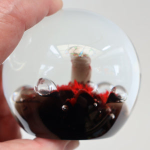 SCOTTISH PAPERWEIGHT: Vintage Caithness Paperweight: MOONFLOWER by Colin Terris. Red Version 