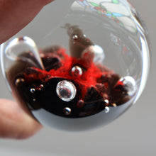 Load image into Gallery viewer, SCOTTISH PAPERWEIGHT: Vintage Caithness Paperweight: MOONFLOWER by Colin Terris. Red Version 
