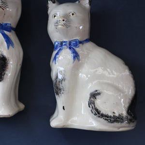 Cute Little Pair of Antique Staffordshire Pottery Mantle Cats with Blue Bows; c 1900