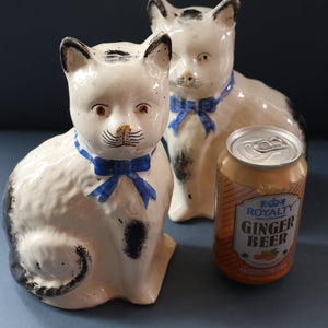 Cute Little Pair of Antique Staffordshire Pottery Mantle Cats with Blue Bows; c 1900