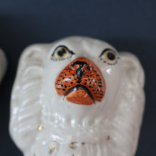 Load image into Gallery viewer, ANTIQUE 19th Century SMALLER SIZE White Staffordshire Dogs / Wally Dugs
