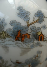 Load image into Gallery viewer, Vintage SINGLE Glass Shade. Opaque White Glass with Transfer Printed WILLOW PATTERN Design
